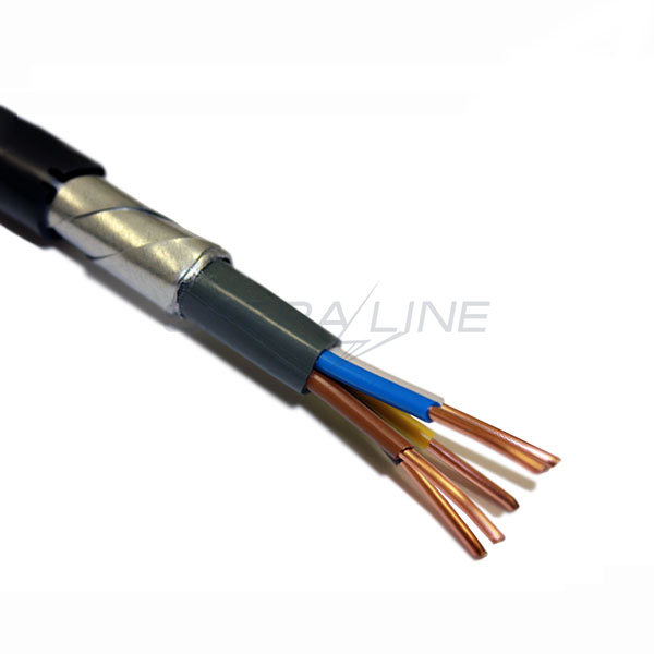 Кабель ВБбШвнг 5x10 (1кВ)