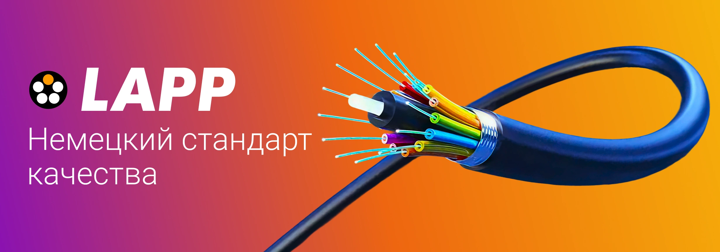 LAPP в Украине