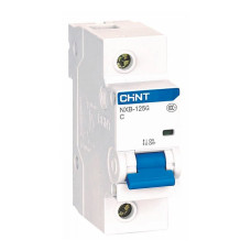 Автоматический выключатель 1P 80А C 10кА Chint NXB-125
