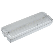 Светильник LED 4,0 Вт 6500K IP54 аварийный IEK 1,0 150Lm ДПА 5040-1 год