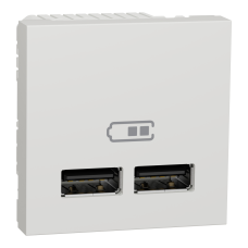 Розетка 2-местная с USB 2.0 1А 2-модульная скрытая белая Schneider Electric Unica New
