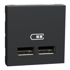 Розетка 2-местная с USB 2.0 1А скрытая антрацит Schneider Electric Unica New