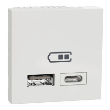 Розетка 2-местная с USB 2.0 4А 2-модульная скрытая белая Schneider Electric Unica New