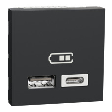 Розетка 2-местная с USB 2.0 4А скрытая антрацит Schneider Electric Unica New