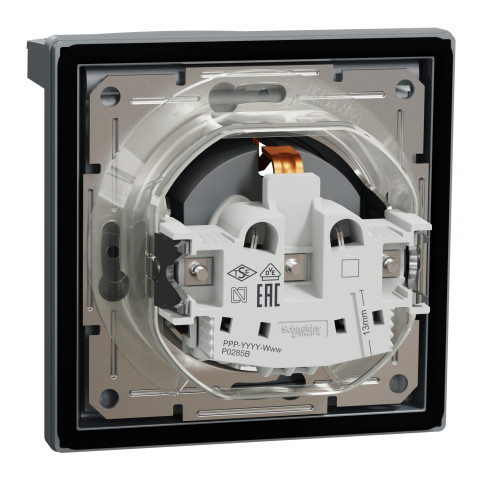 Розетка 1-місна з заземленням зі шторками з кришкою IP44 сталь Schneider Electric Asfora