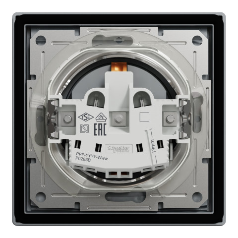 Розетка 1-місна з заземленням зі шторками з кришкою IP44 сталь Schneider Electric Asfora