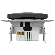 Розетка 2-местная с USB Type-A + Type-C 21 Вт чёрная Schneider Electric Sedna Design