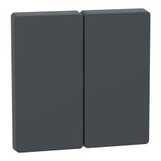 Клавиша 2-клавишного выключателя антрацит Schneider Electric Merten D-Life, MEG3400-6034