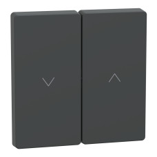 Клавиша 2-клавишного выключателя антрацит Schneider Electric Merten D-Life, MEG3855-6034