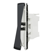 Кнопка 10А IP55 2-модульная скрытая чёрная Schneider Electric Mureva S