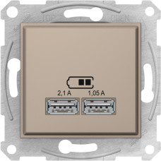 Розетка 2-местная с USB скрытая титан Schneider Electric Sedna