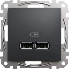 Розетка 2-местная с USB скрытая графит Schneider Electric Sedna