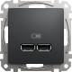 Розетка 2-местная с USB скрытая графит Schneider Electric Sedna