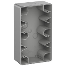 Монтажна коробка 2-місна накладна алюміній Schneider Electric Panzer