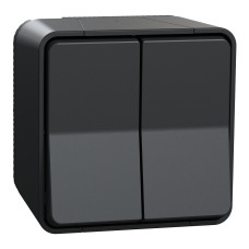 Выключатель 2-клавишный проходной 10А IP55 накладной чёрный Schneider Electric Mureva S