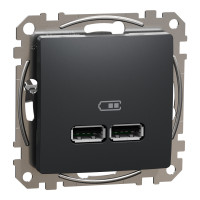 Розетка 1-местная с USB Type-A + Type-A 1А скрытая чёрная Schneider Electric Sedna Design