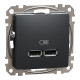 Розетка 1-місна з USB Type-A + Type-A 1А прихована чорна Schneider Electric Sedna Design