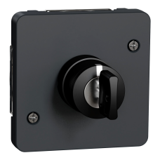 Выключатель с замком 3А IP55 скрытый чёрный Schneider Electric Mureva S, MUR35061