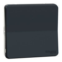 Выключатель 1-клавишный проходной 10А IP55 скрытый чёрный Schneider Electric Mureva S