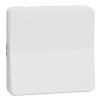 Выключатель 1-клавишный проходной 10А IP55 скрытый белый Schneider Electric Mureva S