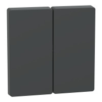 Клавиша 2-клавишного выключателя антрацит Schneider Electric Merten D-Life, MTN3400-6034