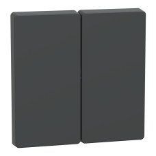 Клавиша 2-клавишного выключателя антрацит Schneider Electric Merten D-Life, MTN3400-6034