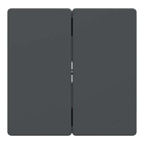 Клавіша 2-клавішного вимикача антрацит Schneider Electric Merten D-Life, MTN3400-6034