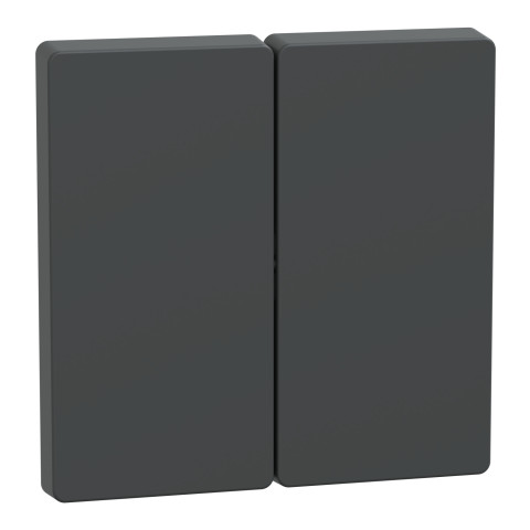 Клавіша 2-клавішного вимикача антрацит Schneider Electric Merten D-Life, MTN3400-6034