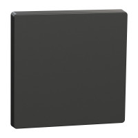 Клавіша 1-клавішного вимикача антрацит Schneider Electric Merten D-Life, MTN3300-6034