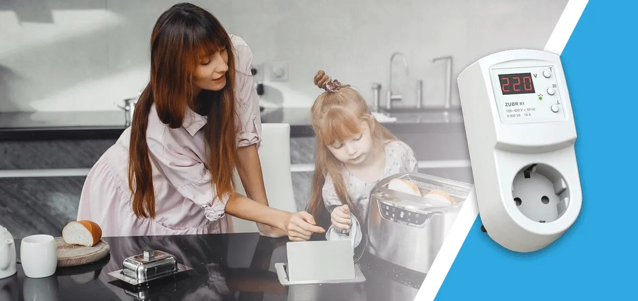 ZUBR R1 реле в розетку веб каталог де можна подивитися та купити