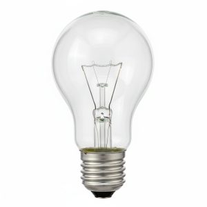 Лампа ЛОН 500W Е40 230V "ІСКРА"