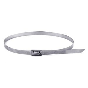 Хомут з нержавіючої сталі  8х600мм (AISI 316) (знято з в-ва)