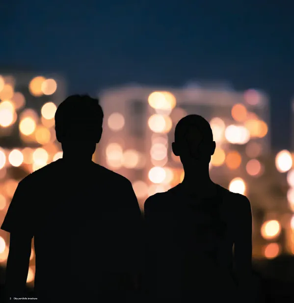 lnteract | розумне рішення для вуличного освітлення