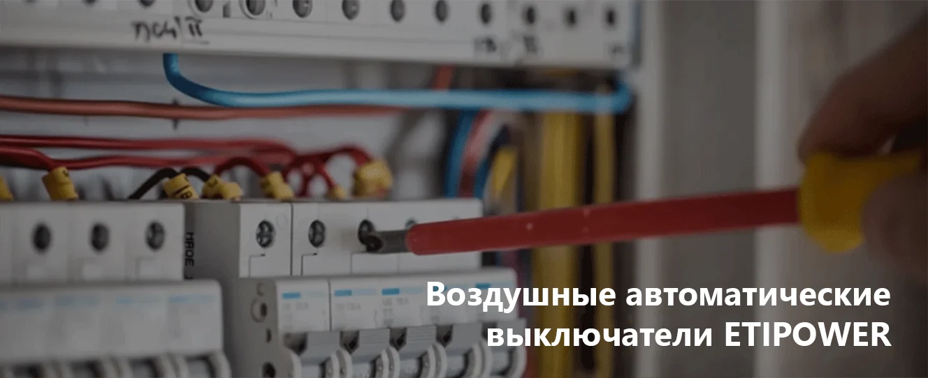 Воздушные автоматические выключатели ETIPOWER | Полный ассортимент