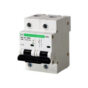 Модульный автоматический выключатель FB1-125 ECO 10кА    "C"  2P  80А
