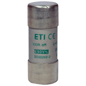 Запобіжник CH 22x58 aM 100A 500V.