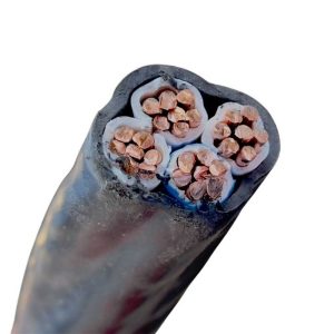 ВВГнгд 4х25  (ДСТУ)