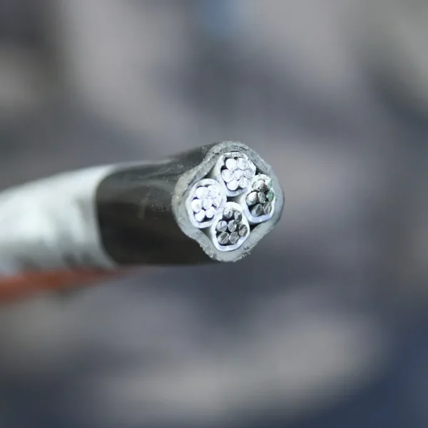 АВВГнгд 4х25 (мж)