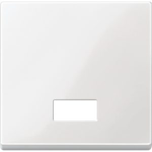 Клавіша вимикача 1-клавішна з віконцем для символів, поле біле "System M" (C3)