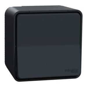 Вимикач 1-кл. зовн.прохідний IP55 "MUREVA S" чорний (10А) (C2)