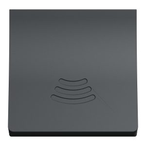 Зумер 2 модуля антрацит (C3)