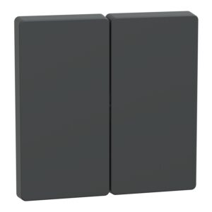 D-life клавіша 2-на антрацит