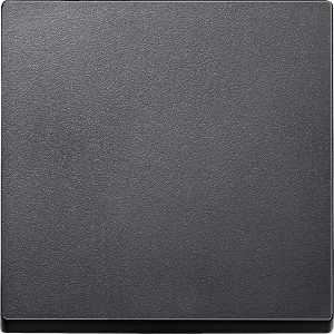 Клавіша вимикача 1-клавішна антрацит "System M" (C2)