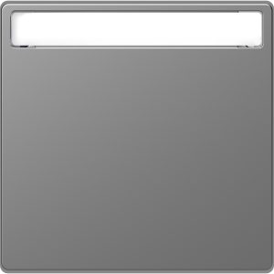 Клавіша вимикача 1-клавішного з полем для напису "D-Life" сталь