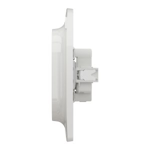 Розетка подвійна без заземлення з штирем гвинтовий затиск біла (C3)