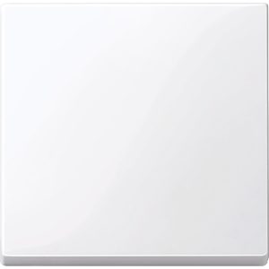 Клавіша вимикача 1-клавішна активний білий блискучий "System M" (C2)