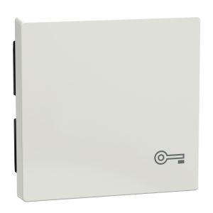 Smклавіша вимикача з піктограмою ключа, полярний білий.