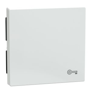 Sm клавіша вимикача з піктограмою ключа, активний білий.