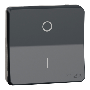 Вимикач 1-клавішний. внутрішній. 2-полюсний IP55 "MUREVA S" чорний (16А) (C3)