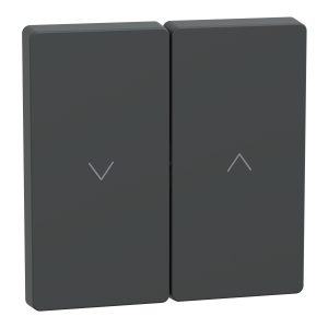 Клавіша вимикача 2-клавішна. жалюзи "D-Life" антрацит